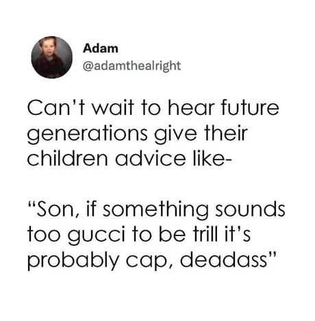 Gen Z dads giving advice - meme