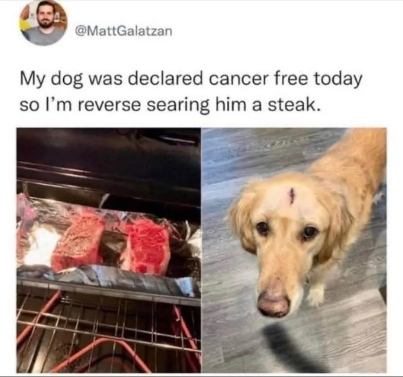 My dog was declared cancer-free today, so I'm reverse-searing him a steak - meme