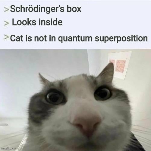 Schrodinger's box meme