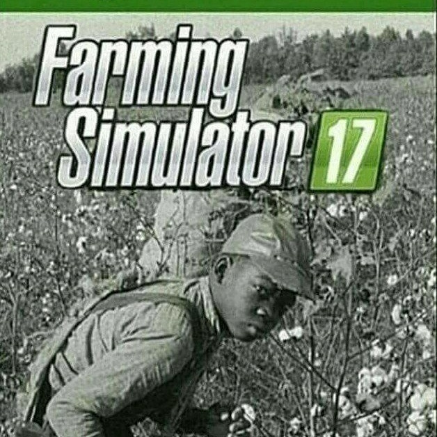 Real farming simulator - meme
