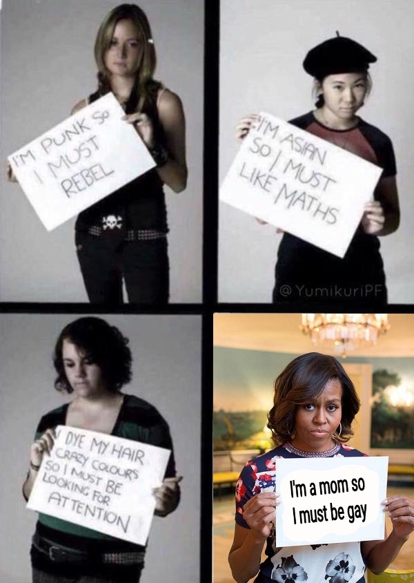 Michelle gay - meme