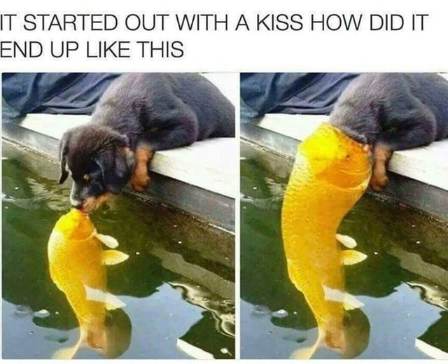 It started out with a kiss how did it end up like this - meme