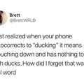 Very ducking interesting