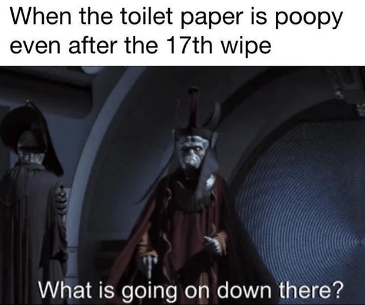 poopy - meme