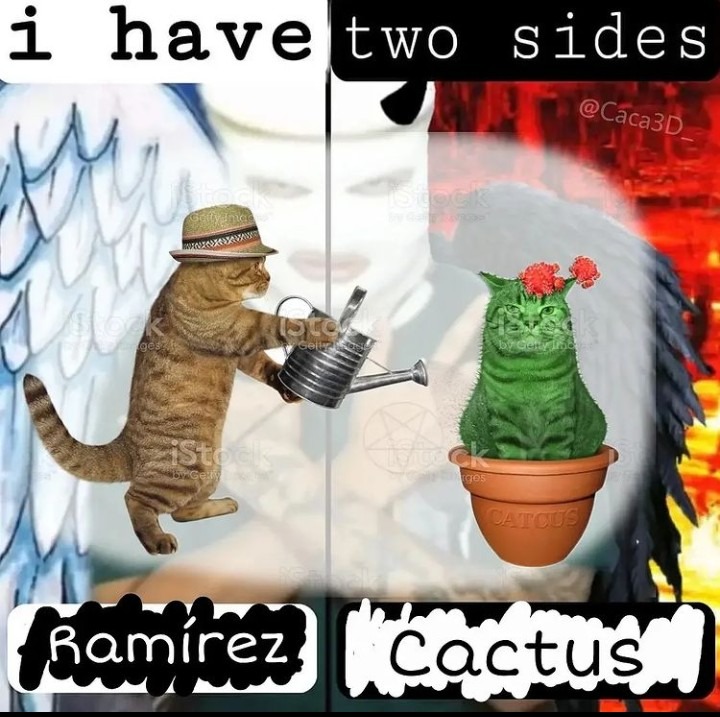 cactus - meme