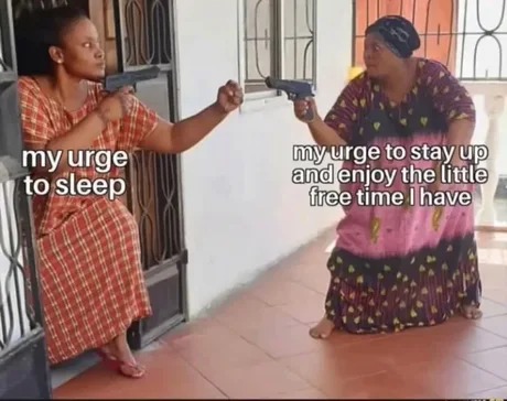 sleep vs enjoy free time - meme