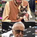R.I.P. Stan Lee and Tartar Sauce a.k.a Grumpy Cat