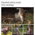 Super Esquilos