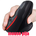 Mouse Tula