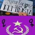 feminismo=comunismo