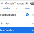 Si se traduce del inglés al español es compañeros de equipo