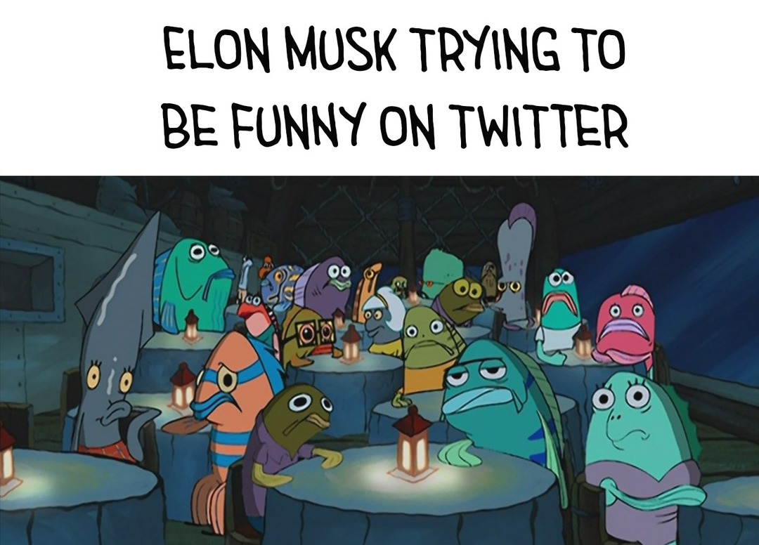 Elon musk's joks - meme