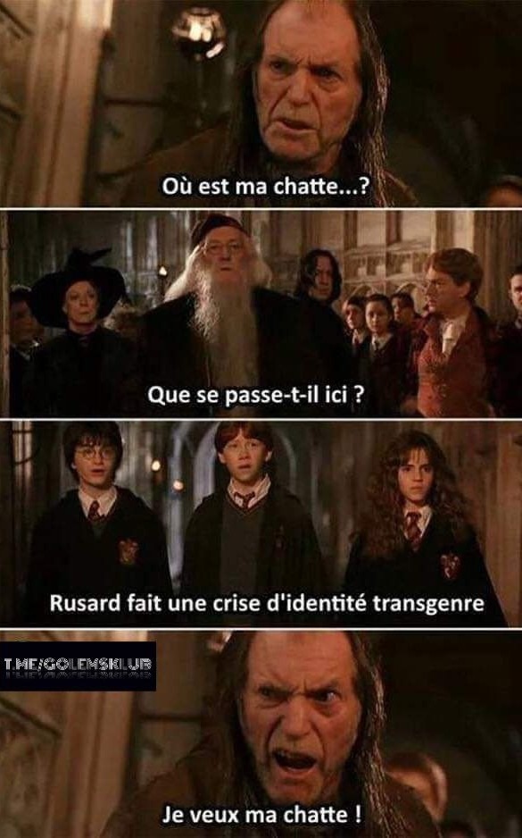 Potter - meme