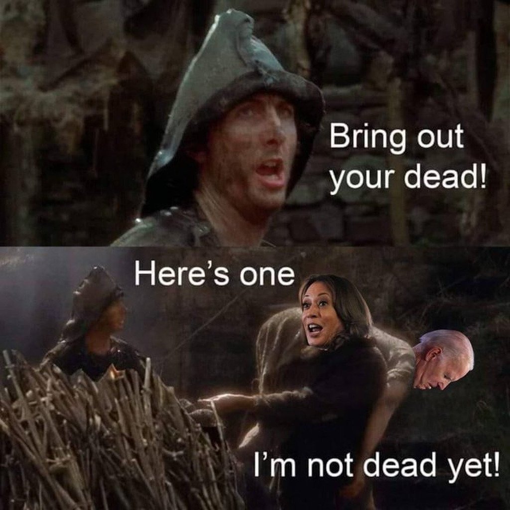 Another Kamala Meme