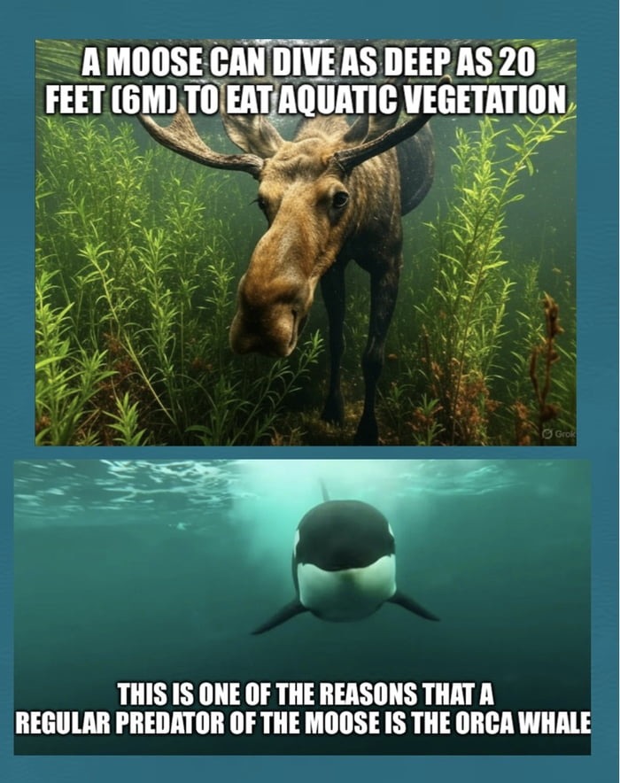nature is scary - meme