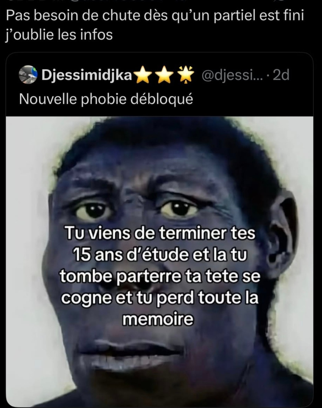 Finir son partiel et tout oublier après une chute ? Nouvelle phobie débloquée - meme