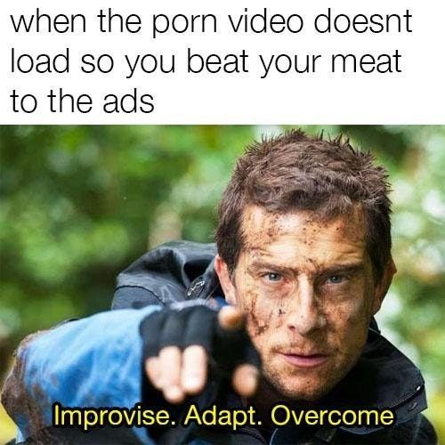 Adapt - meme