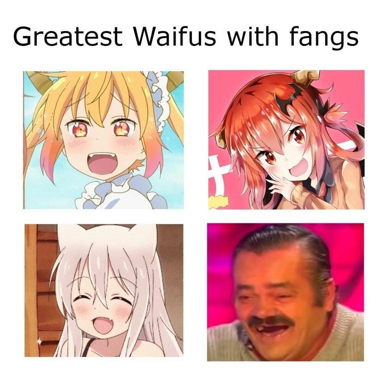 "waifu" does not mean generic anime girl, you fucking ironic weeb - meme