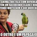 Dilma Rou$$eff e o papagaio