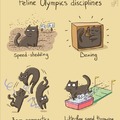 Feline Olympics
