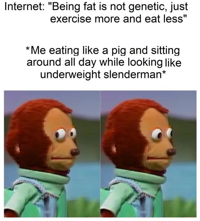 Beinig fat is not genetic, just exercise more and eat less - meme