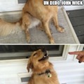 Meme de John wick y su perro