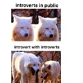 Introverts be like