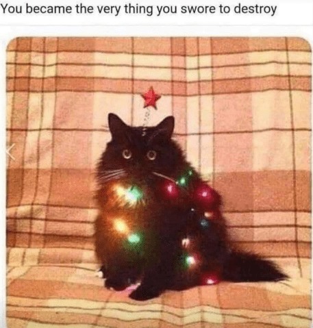 Christmas cat - meme