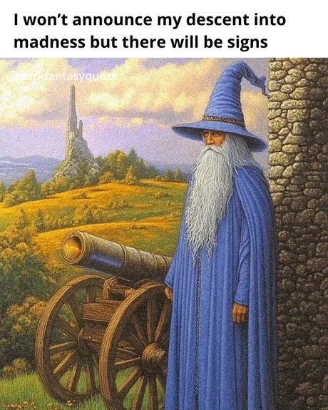 my descent into madness - meme