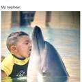 Mmm dolphin