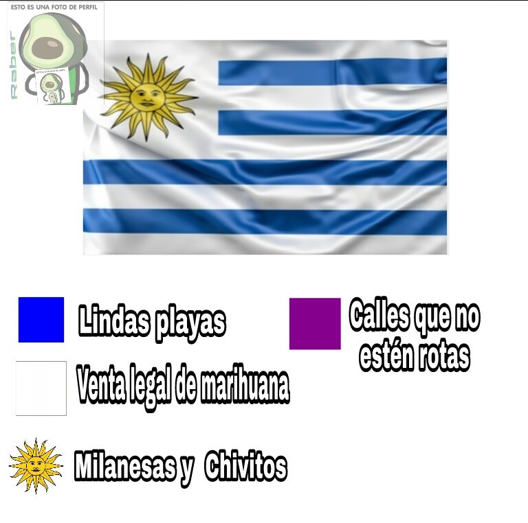 Re100 hecho (No se ofendan, soy uruguayo) - meme