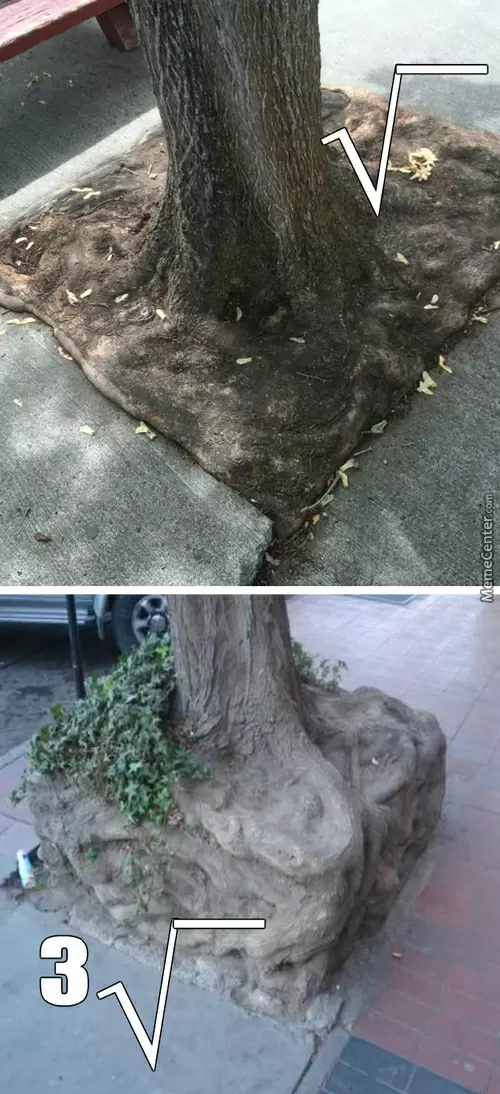 Square root and cube root in real life - meme