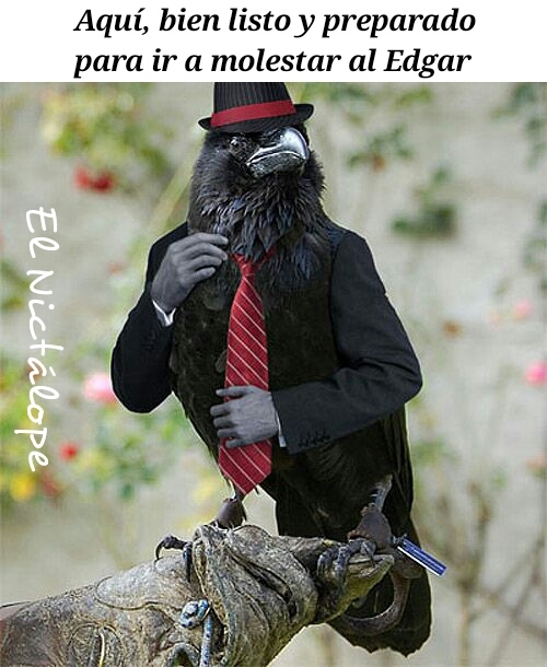 El cuervo de Poe - meme