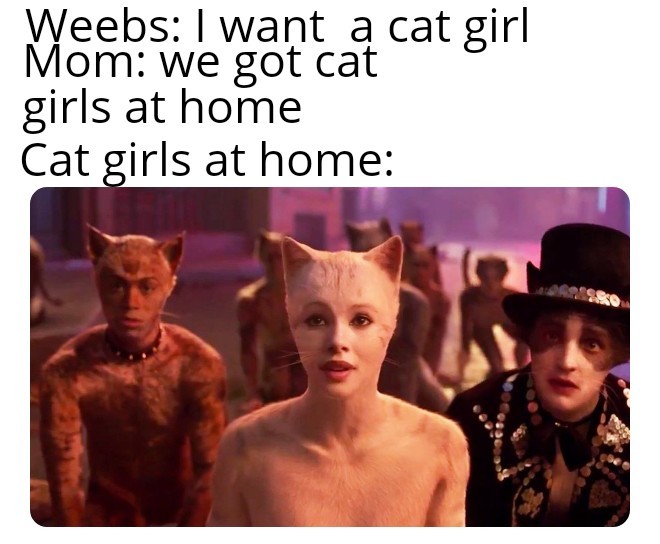 We got cat girls at home - meme