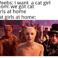 We got cat girls at home