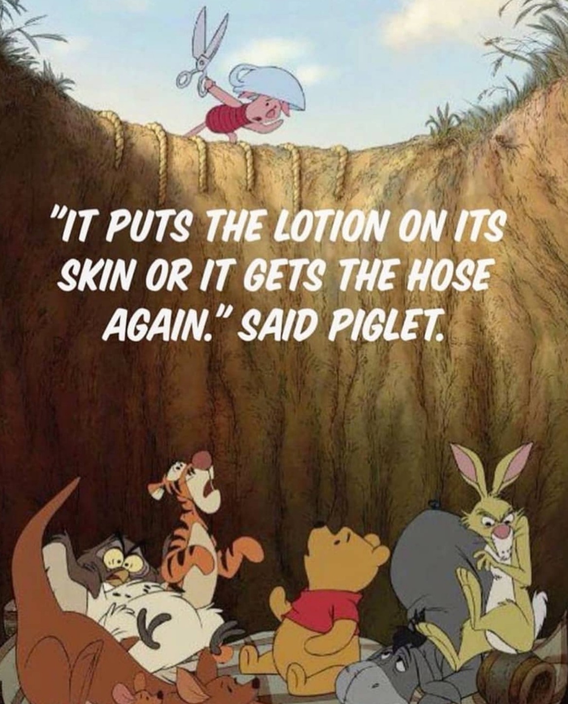 PUT THE LOTION IN THE FUCKING BASKET! - meme