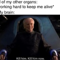 kill him now