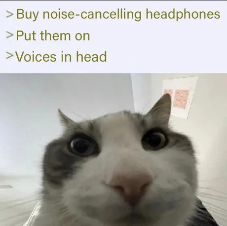 Voices inside my head meme