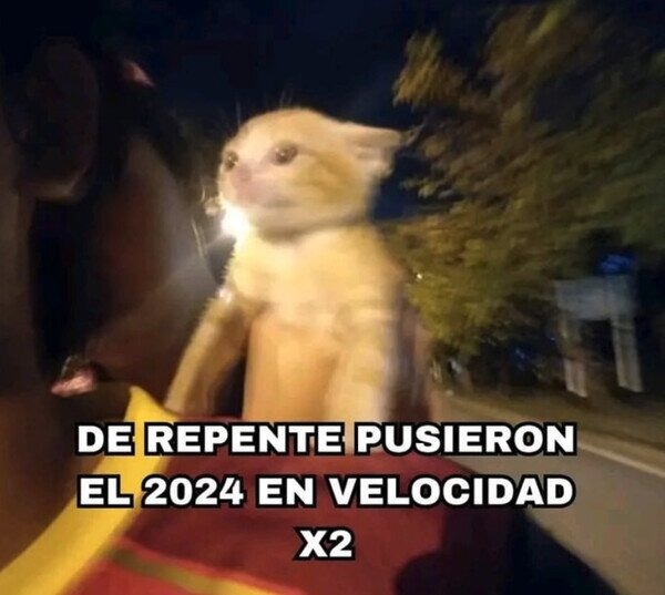 Chingue su madre que se acaba el 2024 - meme
