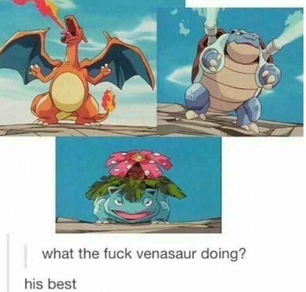 Poor Venasaur - meme