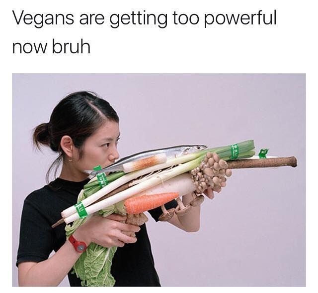 Vegans calm down - meme