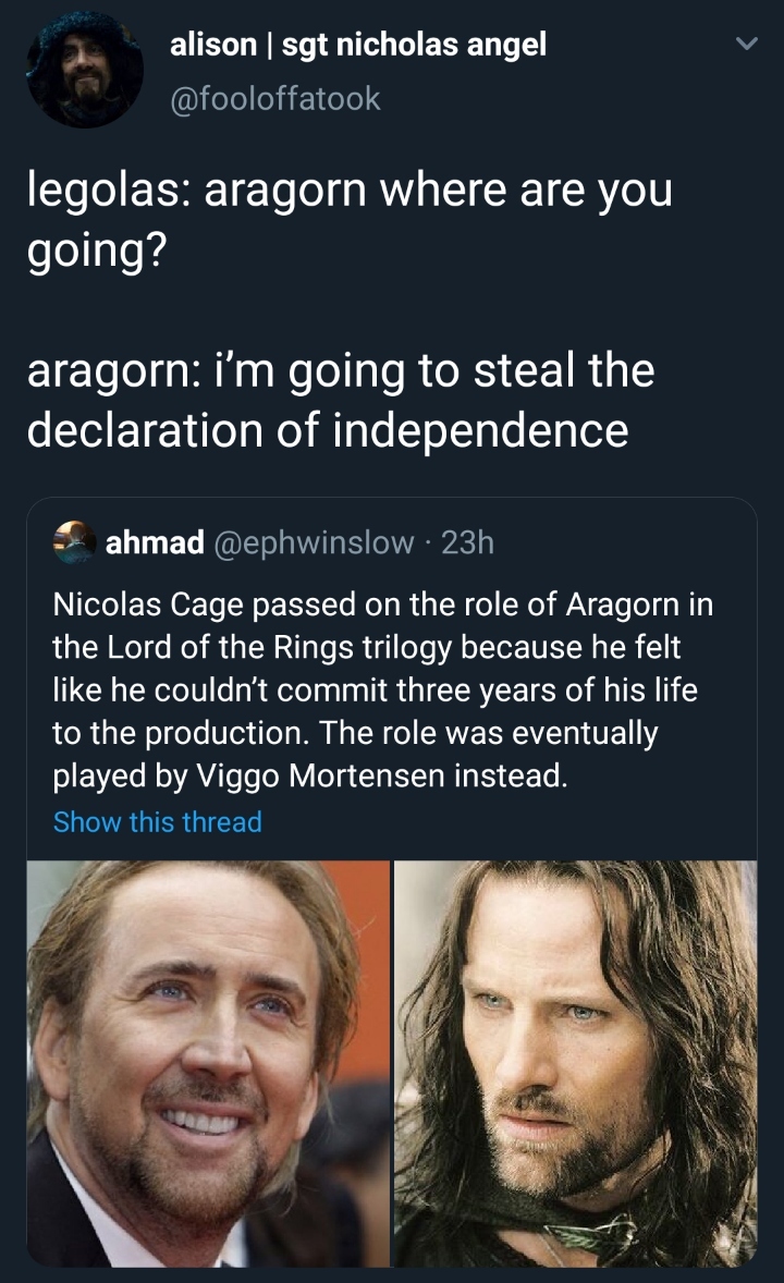 Nick Cage as Aragon? - meme