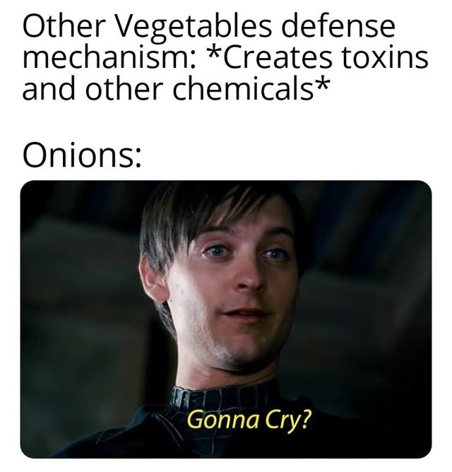Onions just want to see you cry - meme