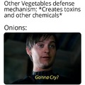 Onions just want to see you cry