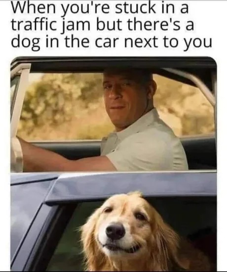 hello doggo - meme