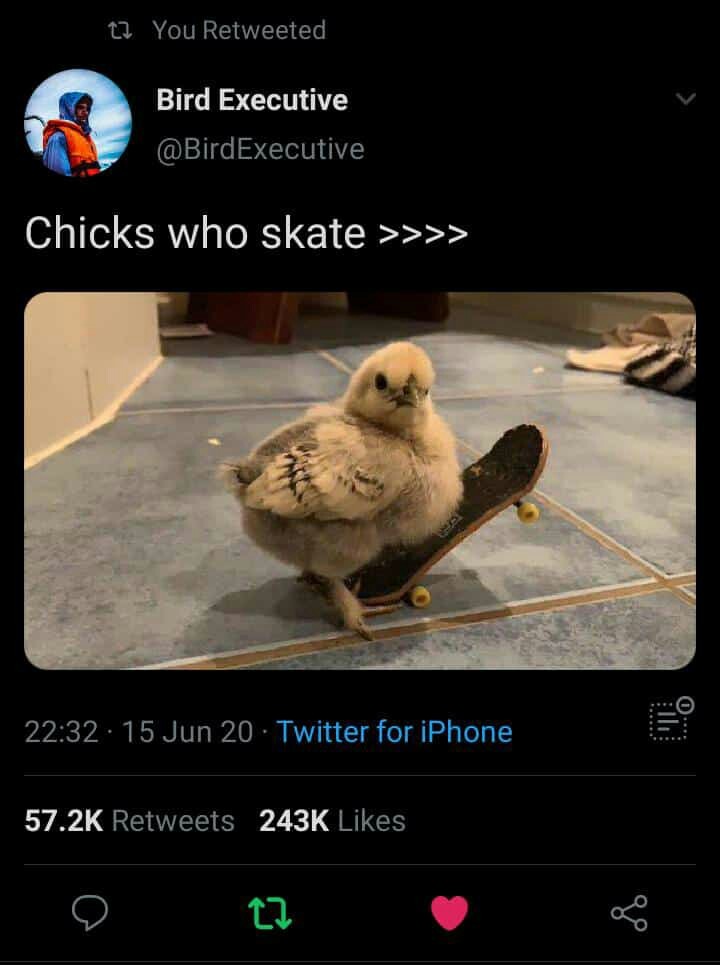 I love chicks who skate - meme
