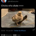 I love chicks who skate
