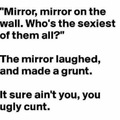 Fuck you, mirror