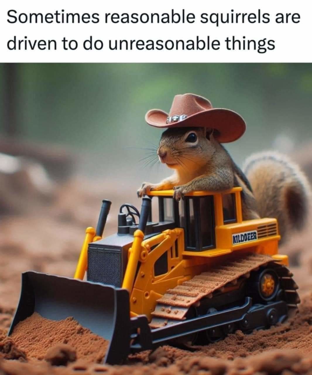 Squirrel lives matter - meme