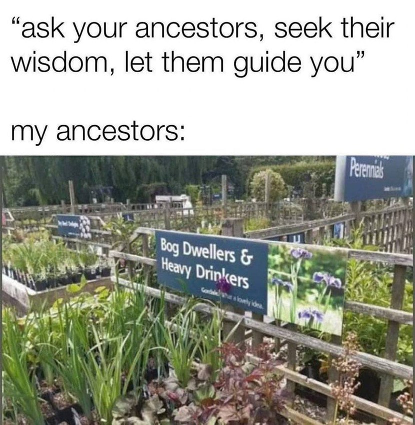 Your ancestors maybe - meme